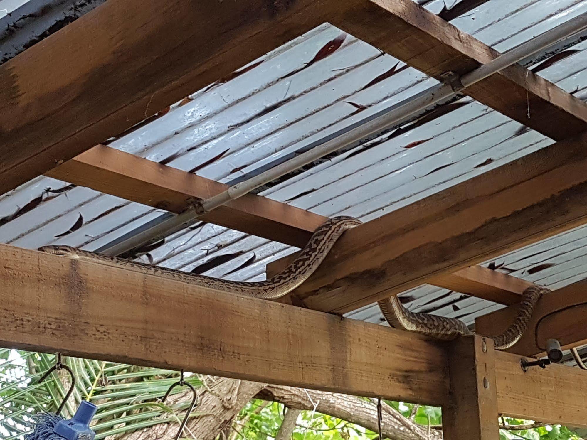 Coral Beach Lodge Πορτ Ντάγκλας Εξωτερικό φωτογραφία